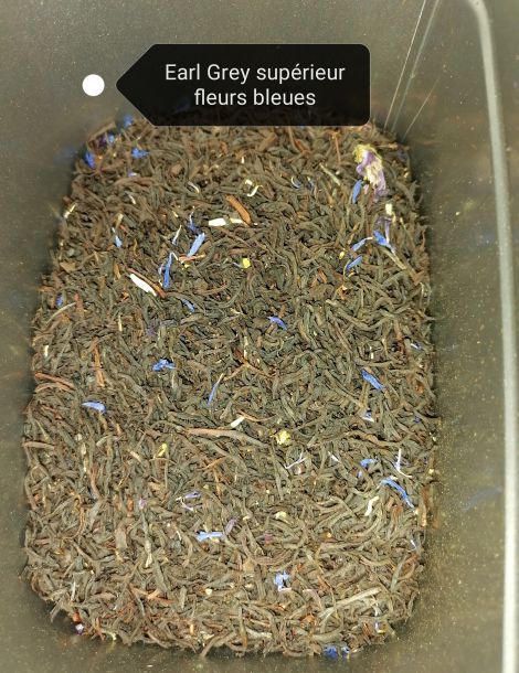 EARL grey supérieur fleurs bleues